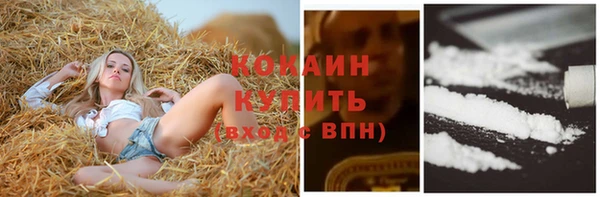 прущая мука Вяземский