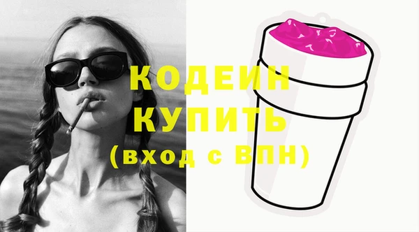 индика Вязники