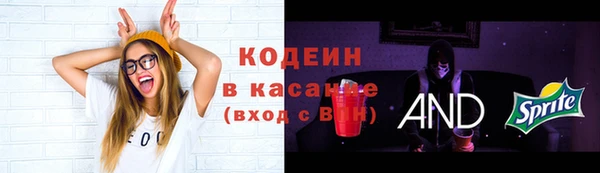 прущая мука Вяземский