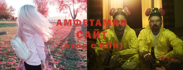 индика Вязники