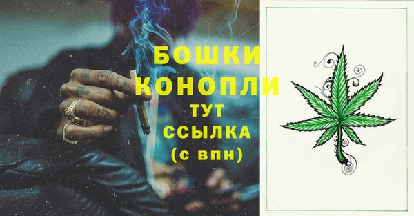 прущая мука Вяземский