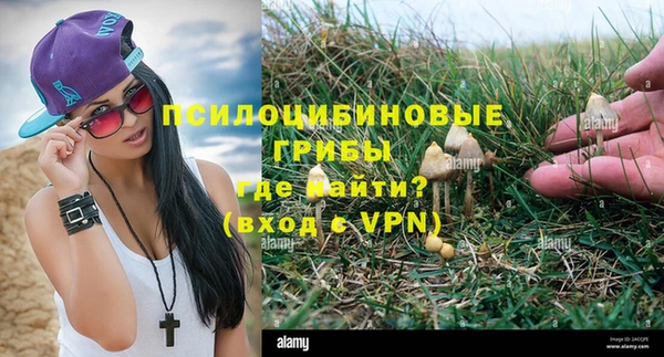 индика Вязники