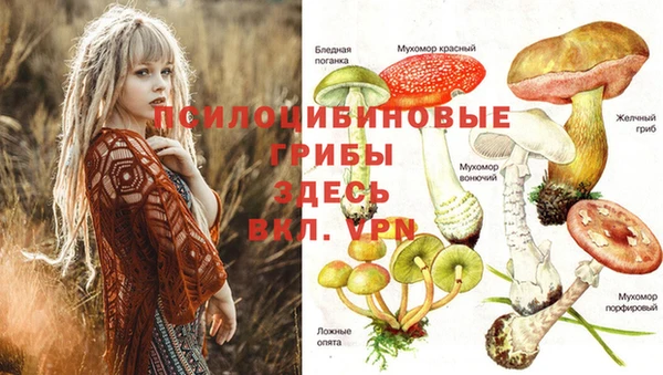 мдпв Вязьма