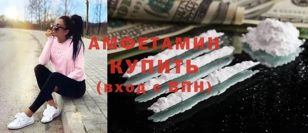 индика Вязники