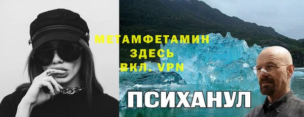 прущая мука Вяземский
